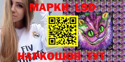 mdpv Ярославль