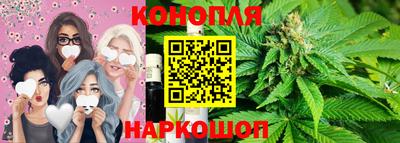 mdpv Ярославль