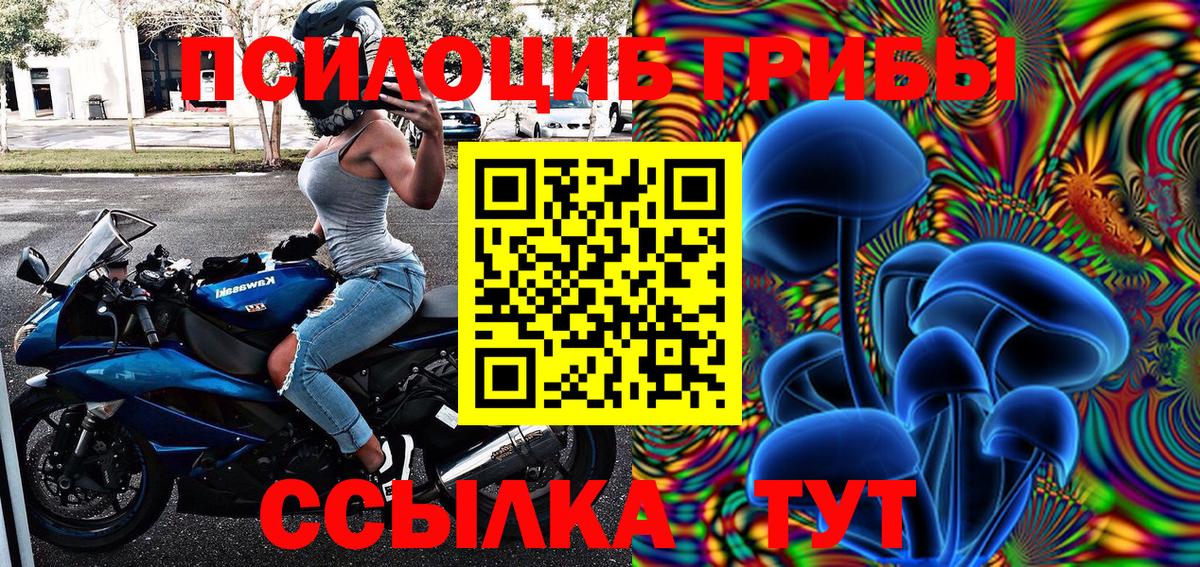 Сухой Лог  Галлюциногенные грибы GOLDEN TEACHER  Вход с VPN 
