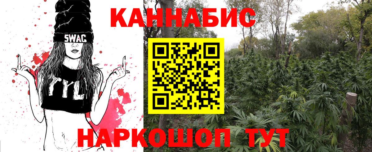 Каннабис OG Kush Сухой Лог